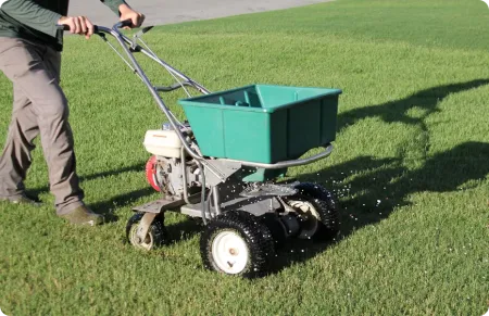 seeding lawn