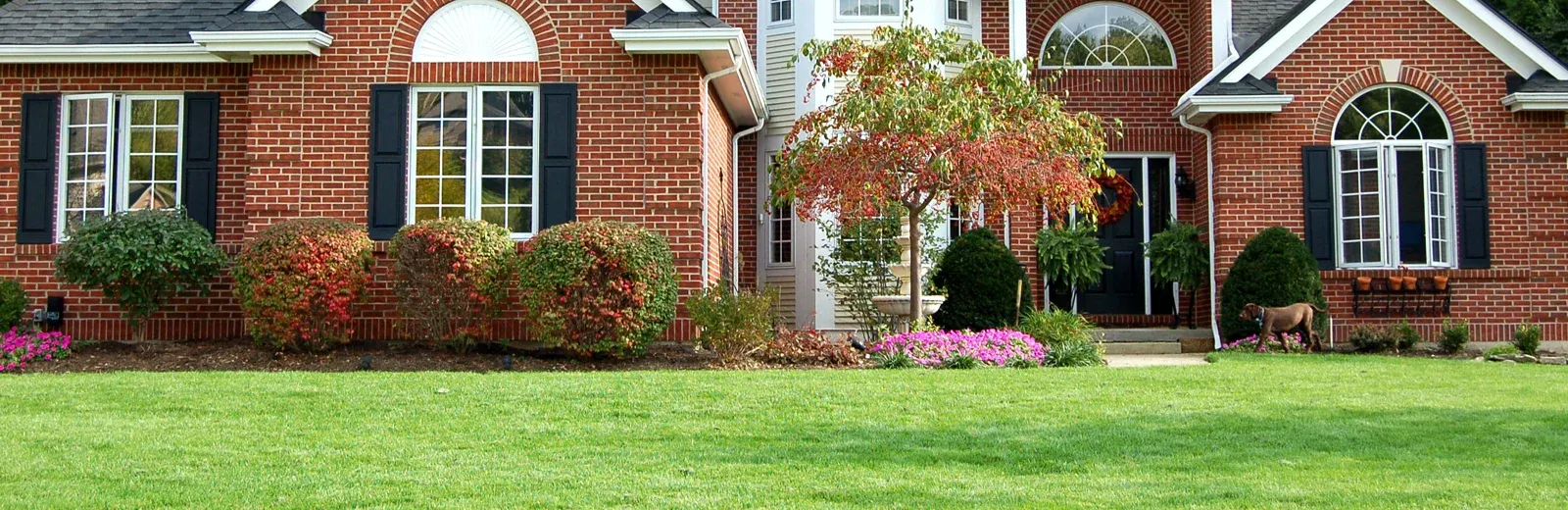 brick house with trees and shrubs in front